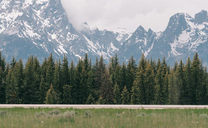 Amangani's setting with the snow-capped Teton Mountains rising beyond evergreen forest and meadow.