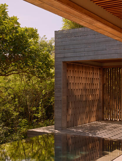 アマノイ リゾートのフォレスト ウェルネス プール ヴィラの外観。木造のヴィラが静かな池に映り、周囲は緑に囲まれています。