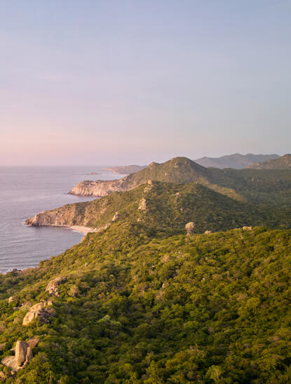 Forested coastline at Amanoi with rocky headlands meeting calm waters at dusk.