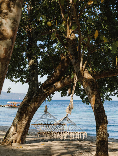 Rope swing hanging from ancient tree on Amanwana beach, with sea view beyond.