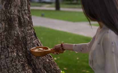 养云安缦度假村中，一位访客轻轻触摸树干上的苔藓。