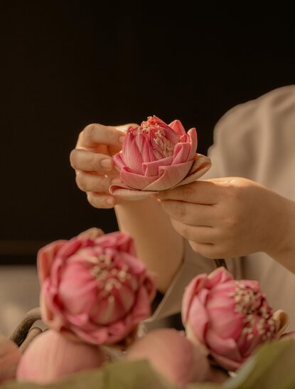 Pink lotus flowers cradled in hands at Aman Nai Lert Bangkok.