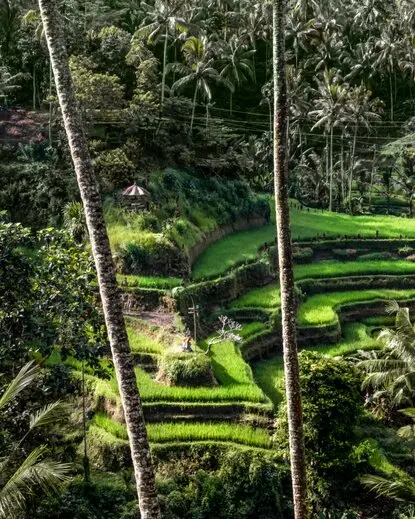 Amandari, Bali, Indonesia Escape