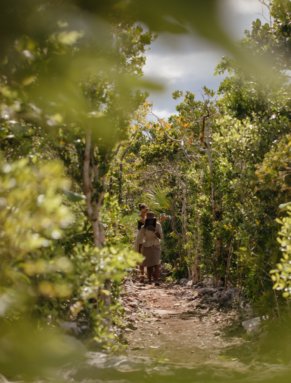 アマンヤラ リゾートでのハイキングコース。緑生い茂る植物に囲まれた小道。
