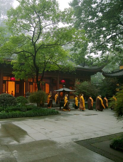 Monks in saffron robes gather at dawn outside a traditional temple building at Amanfayun, surrounded by lush greenery.
