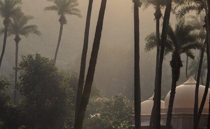 Journeys Unfold, Q1 2025 - Amanbagh, India