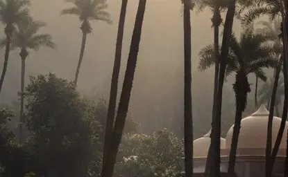 Journeys Unfold, Q1 2025 - Amanbagh, India