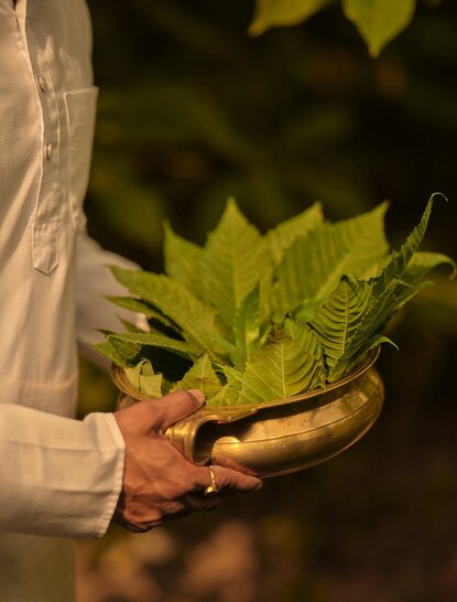 Hands holding fresh herbs during a spa wellness treatment at Amanbagh, India.