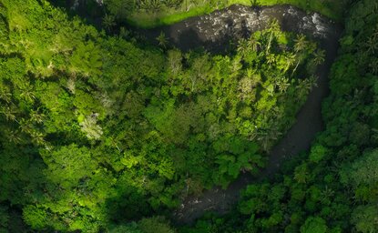 Aerial view of lush green forest canopy at Amandari, Bali.