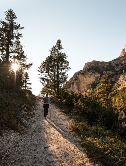 A solitary figure walks a mountain path through the Dolomites at Aman Rosa Alpina, with golden light filtering through pine trees and rocky slopes.