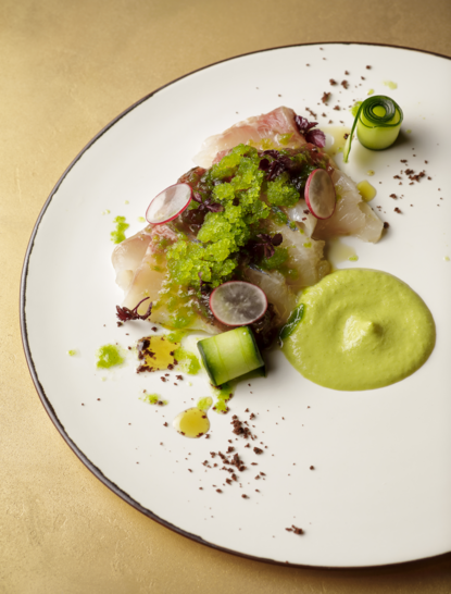Plated dish at Aman Kyoto resort featuring sliced fish, green garnishes and microgreens artfully arranged on white ceramic.