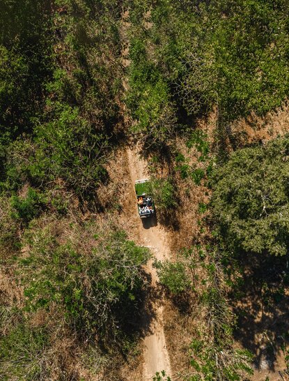 Jeep navigating a dirt track through dense forest at Amanwana, Indonesia.