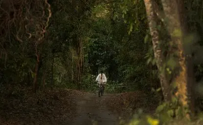 Cyclist riding through tree-lined path at Amanwana, Indonesia.