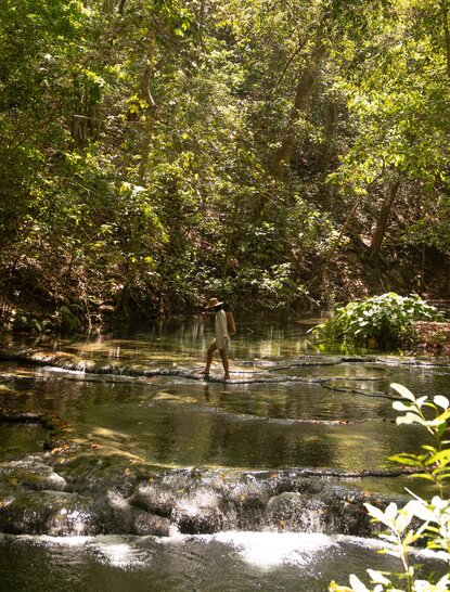 Tranquil river flowing through lush tropical forest at Amanjiwo, Indonesia, with ancient temple ruins visible amongst dense vegetation.
