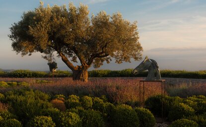 Amanzoe, Greece - Art Exhibit, Alexandra Athanassiades