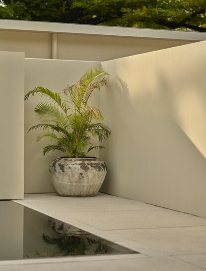 Potted orchid plant on shelf in Amansara Pool Suite