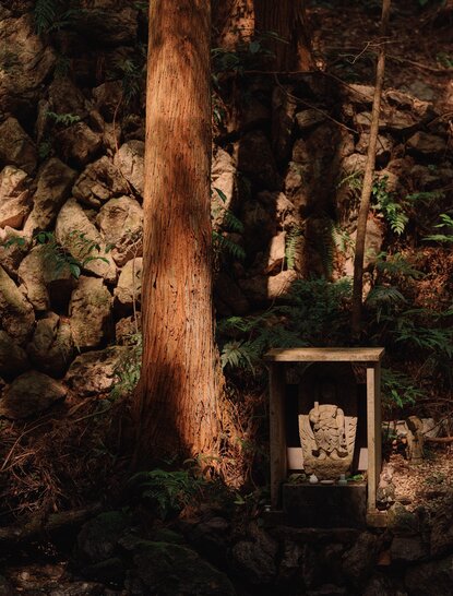 Wooden shrine nestled amongst tall trees at Amanemu resort, Japan.