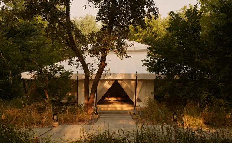Cream canvas tent exterior at Aman-i-Khas, India, lit warmly at dusk amongst trees and golden grasses.