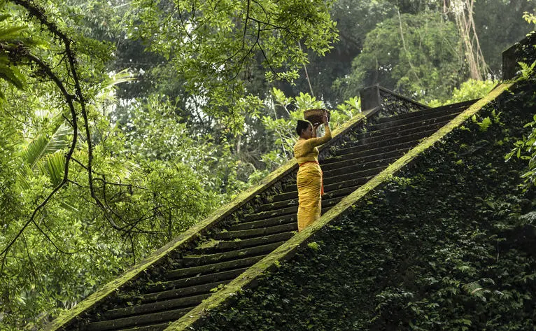 アマンダリ リゾートの寺院へ続く石造りの階段、緑に囲まれた参道。