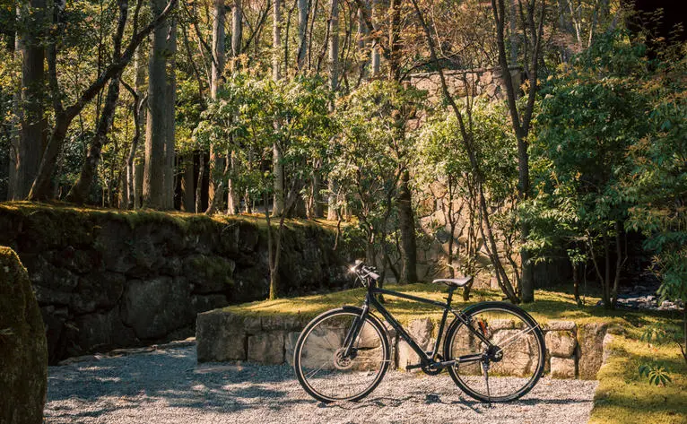 Bicycle resting on a tree-lined path at Aman Kyoto, dappled sunlight filtering through the canopy.