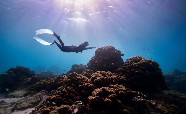 Freediver exploring coral reef at Amanpulo, Philippines.