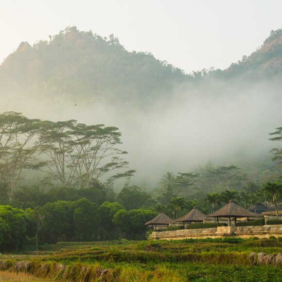 Sawah padi dan tumpukan jerami di Amanjiwo resort, dengan pegunungan berselimut kabut di latar belakang.