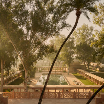Main pool terrace at Amanbagh, framed by curved tree branch and gardens beyond.