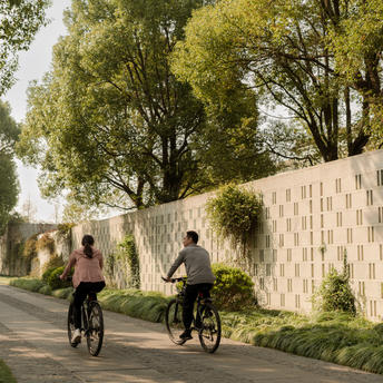 Two cyclists riding along a tree-lined path at Amanyangyun, China.