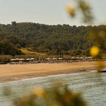 Amanzoe's beach club framed by wildflowers, with golden sand and calm waters beyond.