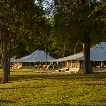 Amanwana garden with illuminated tented accommodation nestled amongst tall trees at dusk.