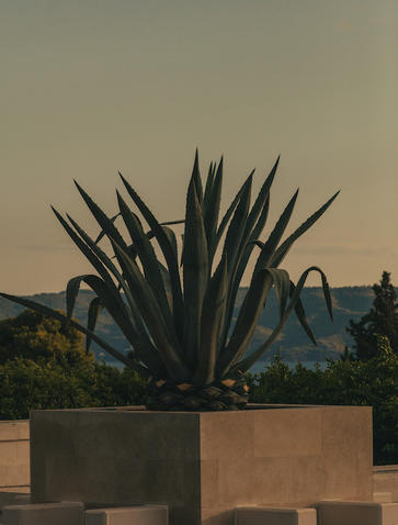 Amanzoe, Meditations