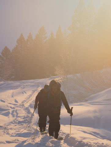 Solitary figure walking through snow-covered landscape at Amangani at sunrise, with forested peaks in mist.