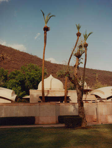 Palm trees beside a water feature at Amanbagh, with desert hills in the background.