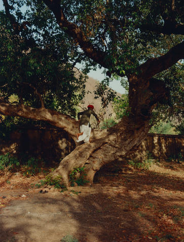 India, Aman-I-Khas, Camping