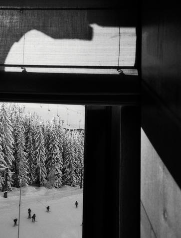 aman_le_melezin_do_not_use