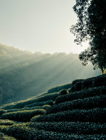 Amanfayun-Revised-Meditations-Do-not-use