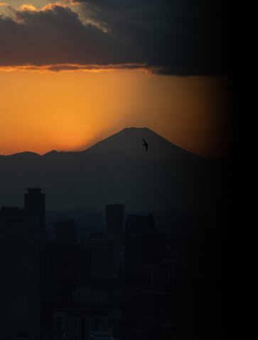 Mount Fuji silhouetted against golden sunset sky from Aman Tokyo.
